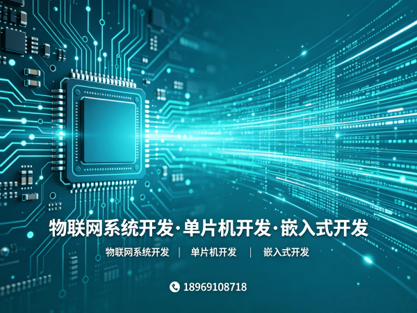 常州物联网传感器开发与嵌入式AI开发解决方案